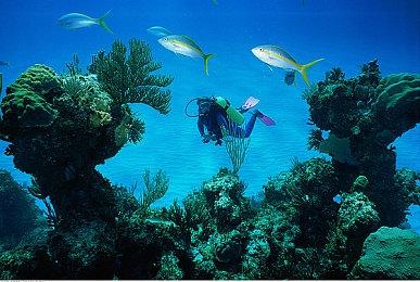 FPS游戏《灼烧之地》Steam页面上线 暂不支持中文